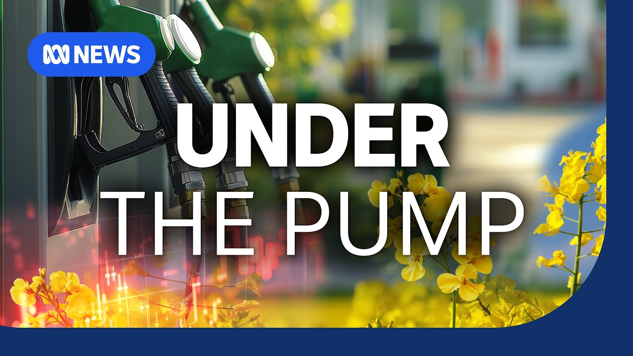 Australia's massive untapped fuel supply | The Business | ABC NEWS
