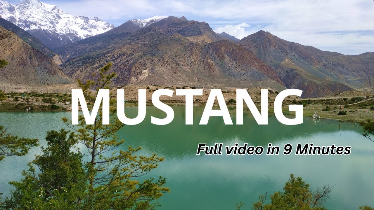 MUSTANG - Full video in 9 Minutes