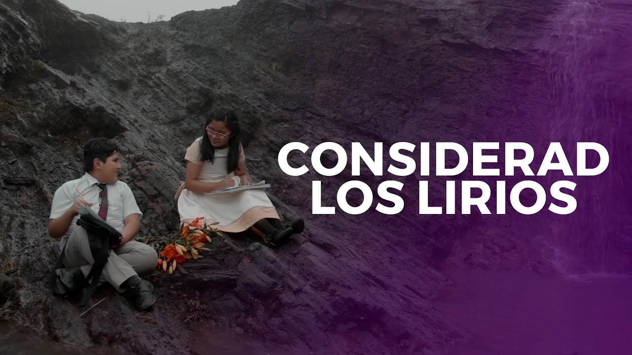 Considerad los Lirios