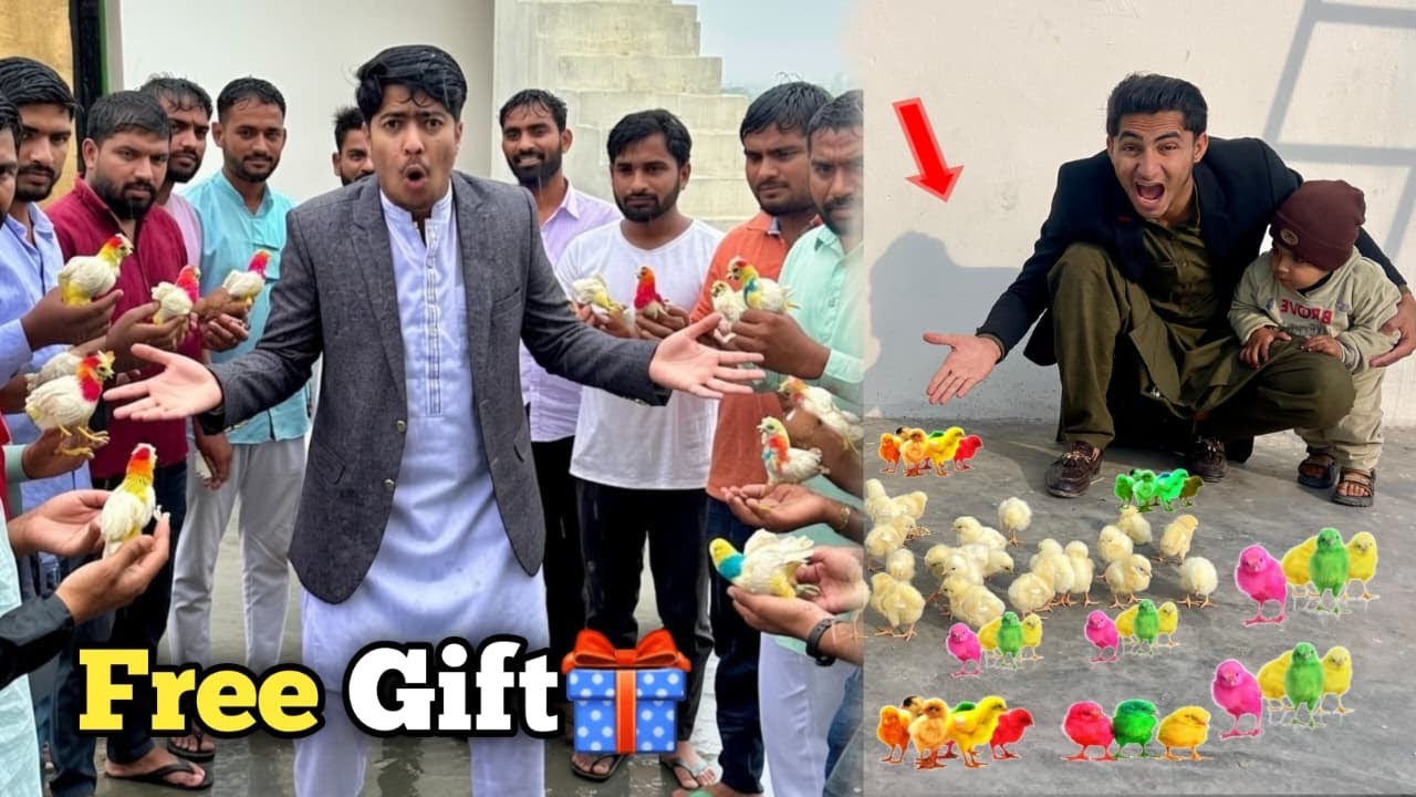 Give Away Kar Diya Colorful 🐥 Chicks Ka