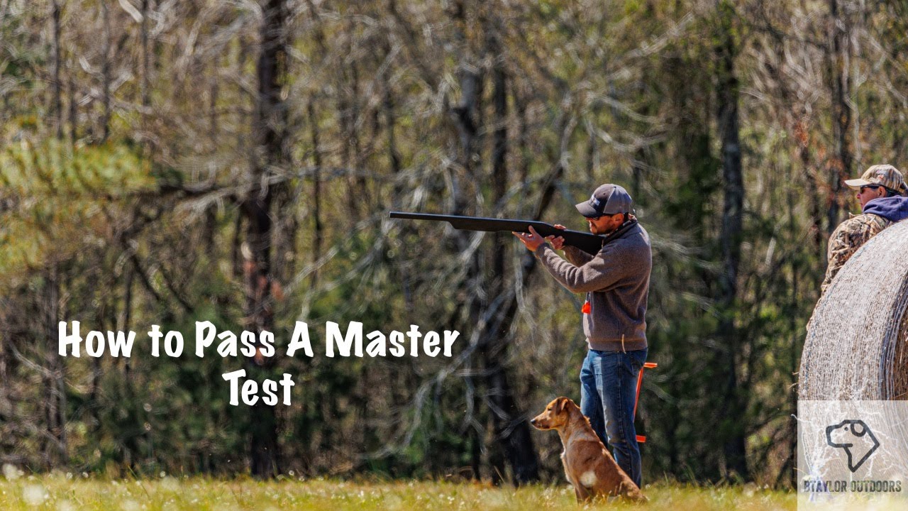 How to Pass a AKC Master Test Part 1