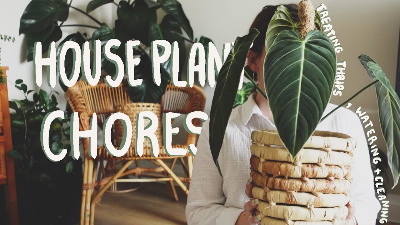 Plant Chores VLOG! Treating Thrips, Watering and Tidying my Apartment
