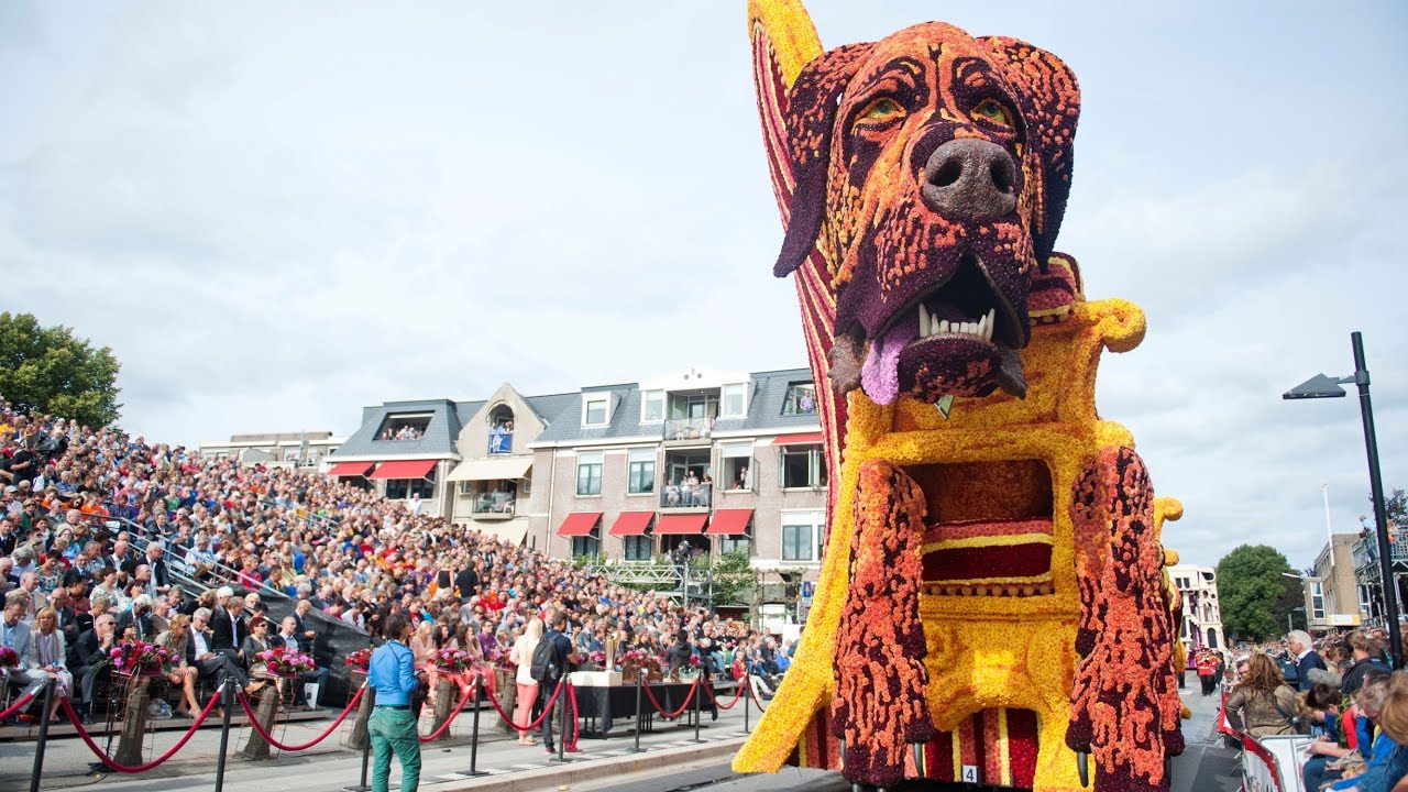 Corso Zundert optocht 2013 - 2de doorkomst