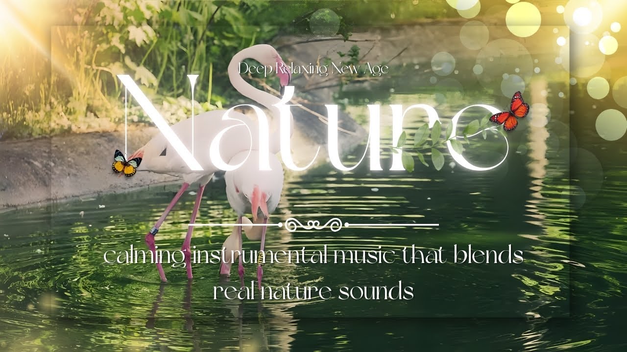 Deep Relaxing With Romantic Nature | New Age Version | Release Stress