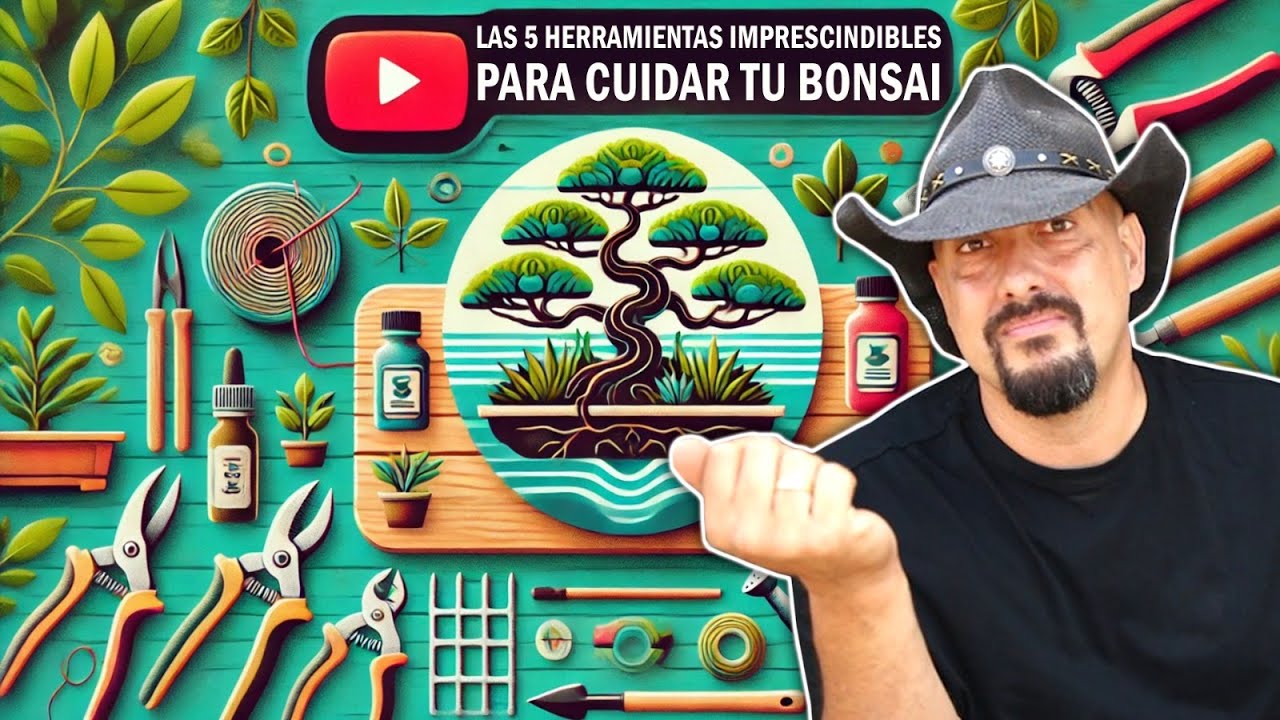 5 HERRAMIENTAS imprescindibles para cuidar Tu BONSAI