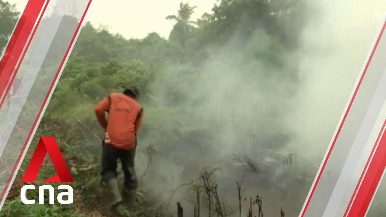Jokowi gives orders to put out Indonesian forest fires immediately