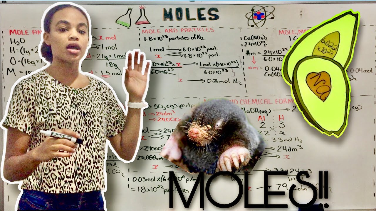 CSEC Chemistry: Moles!!!