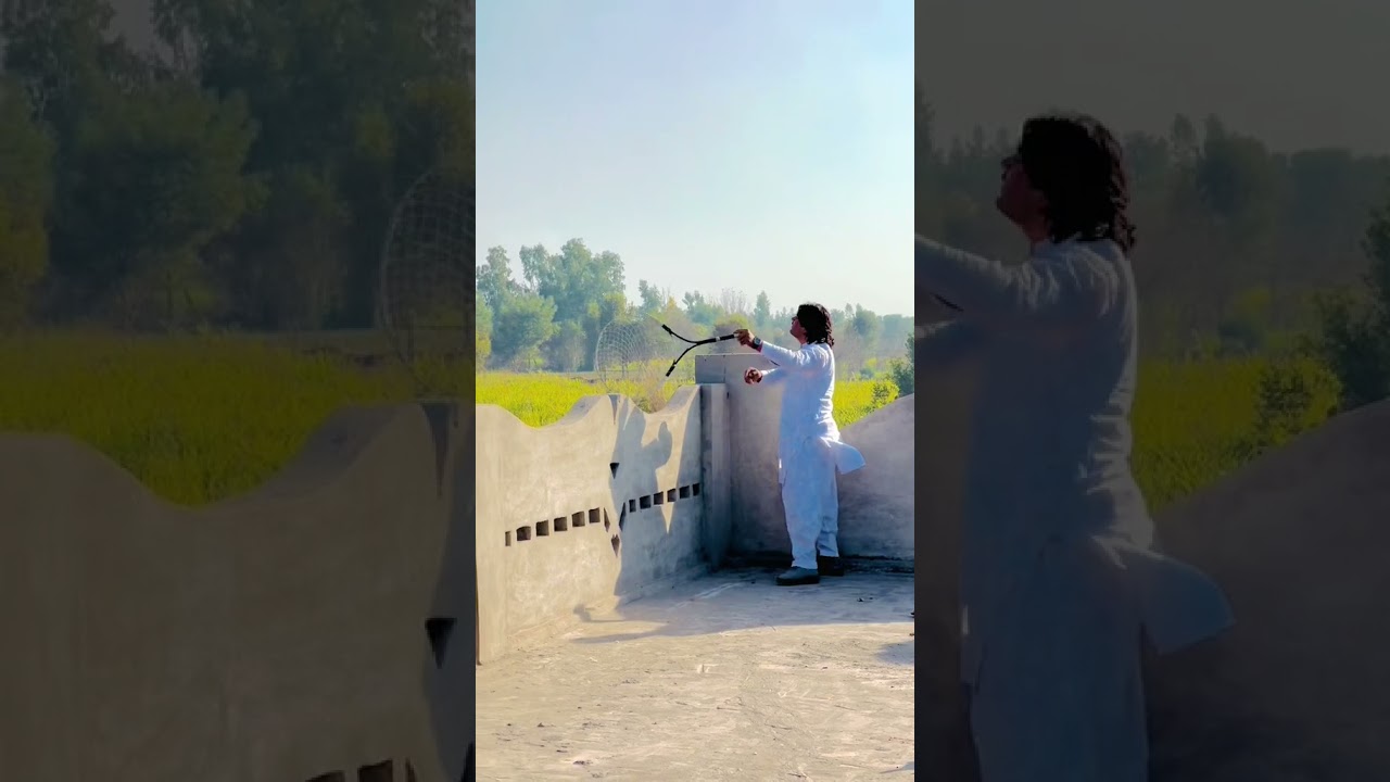 How to make pigeon racing#youtubeshorts#viralvideo#racingbirds#pigeon#pigeonshorts#pigeonviral