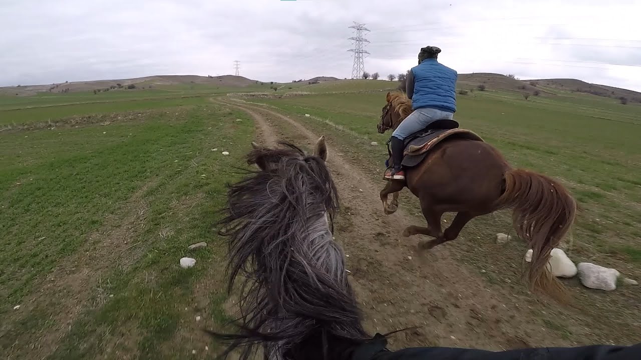 Atlar ve Uzaklar 43: Bürküt, Altay At Çiftliği, Kazan - Ankara