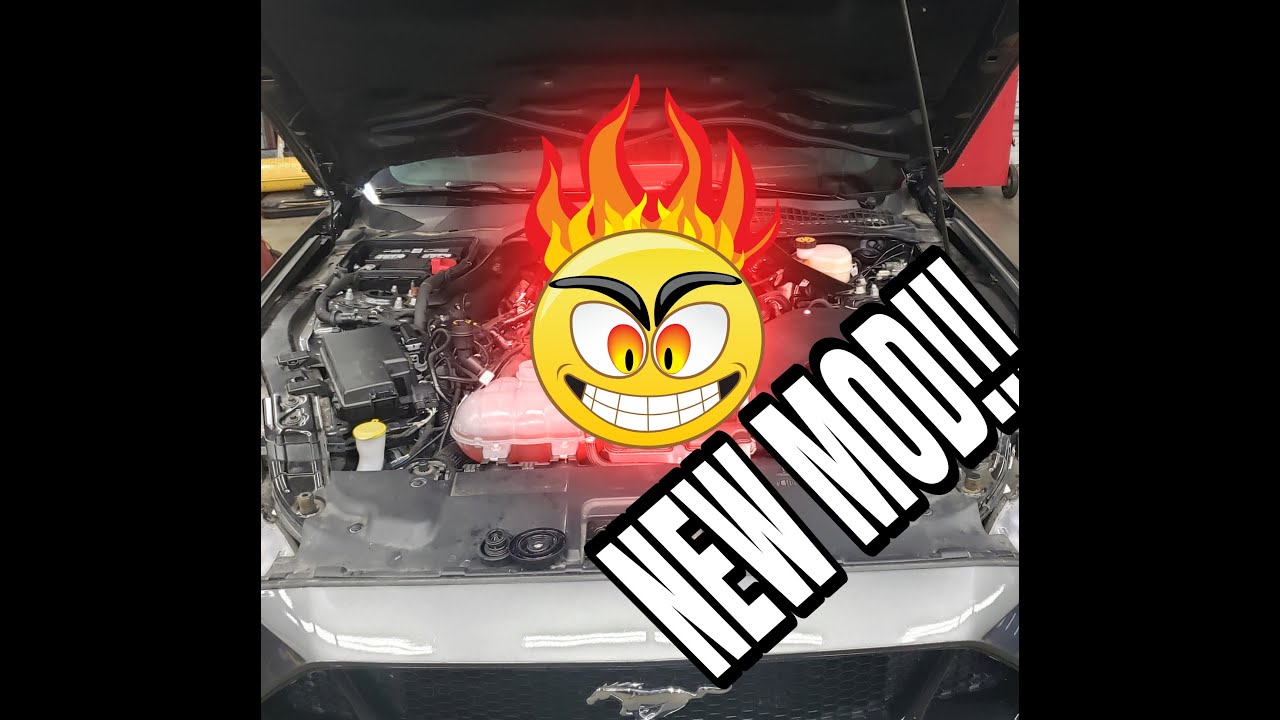 roush phase 1 supercharger installed on my 2019 Mustang