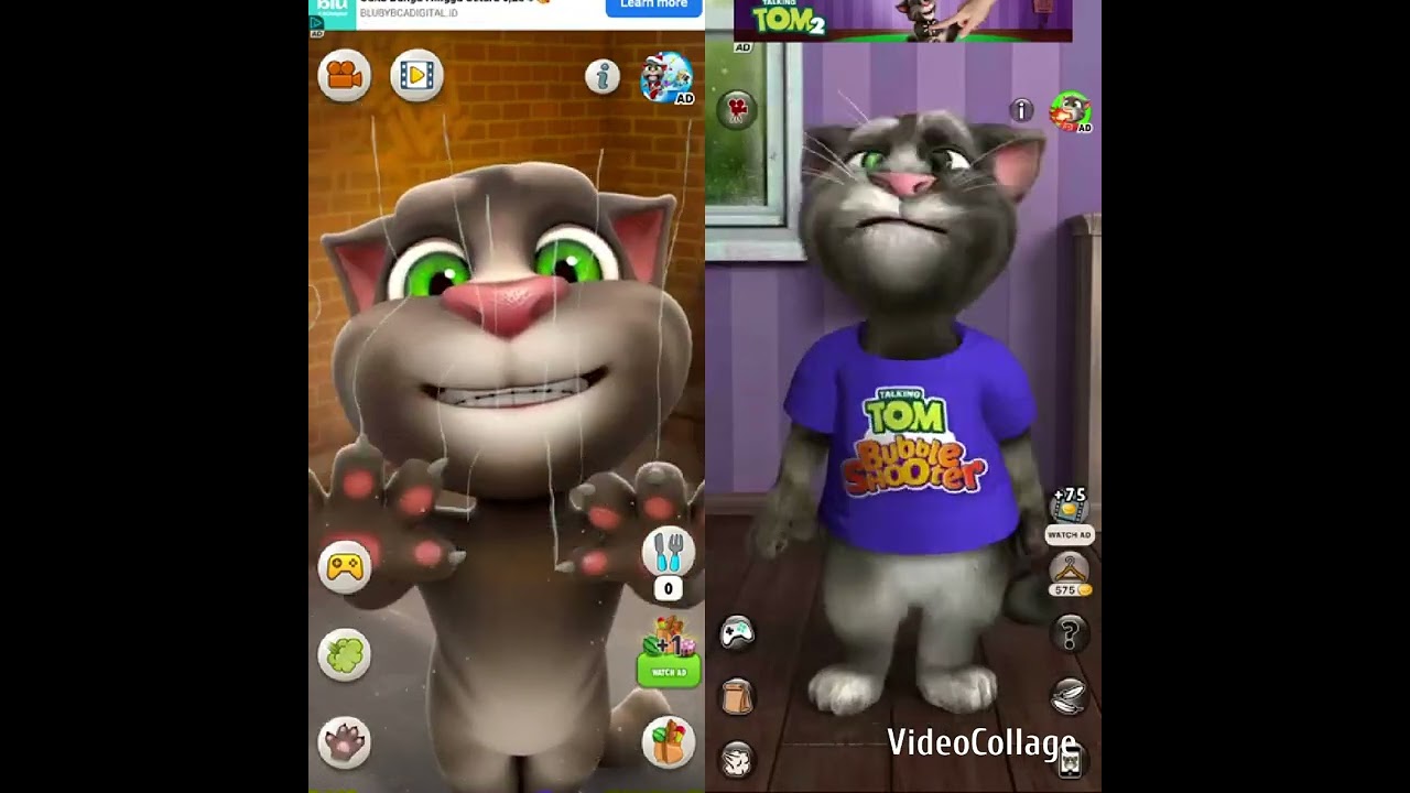 Talking Tom Cat vs Talking Tom Cat 2 Gameplay