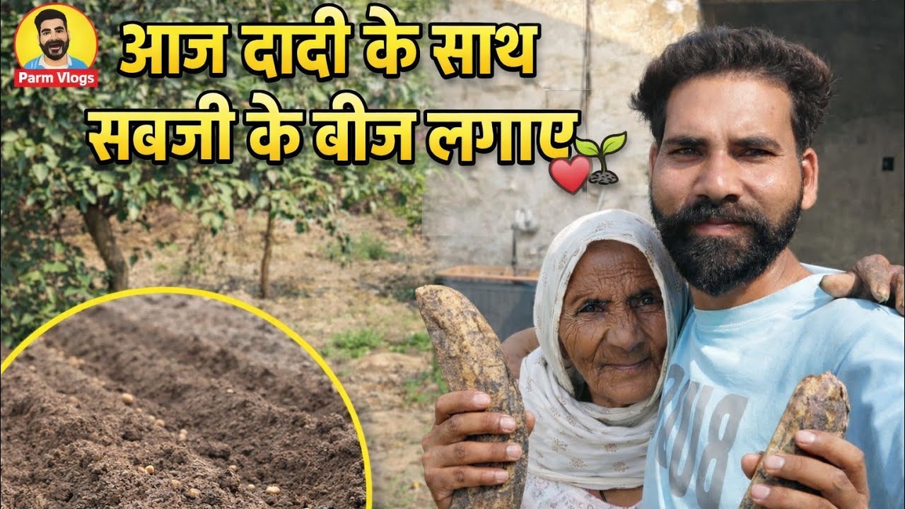 आज मैंने और दादी ने मिलकर सब्जी के बीज लगाए 🌱❤️