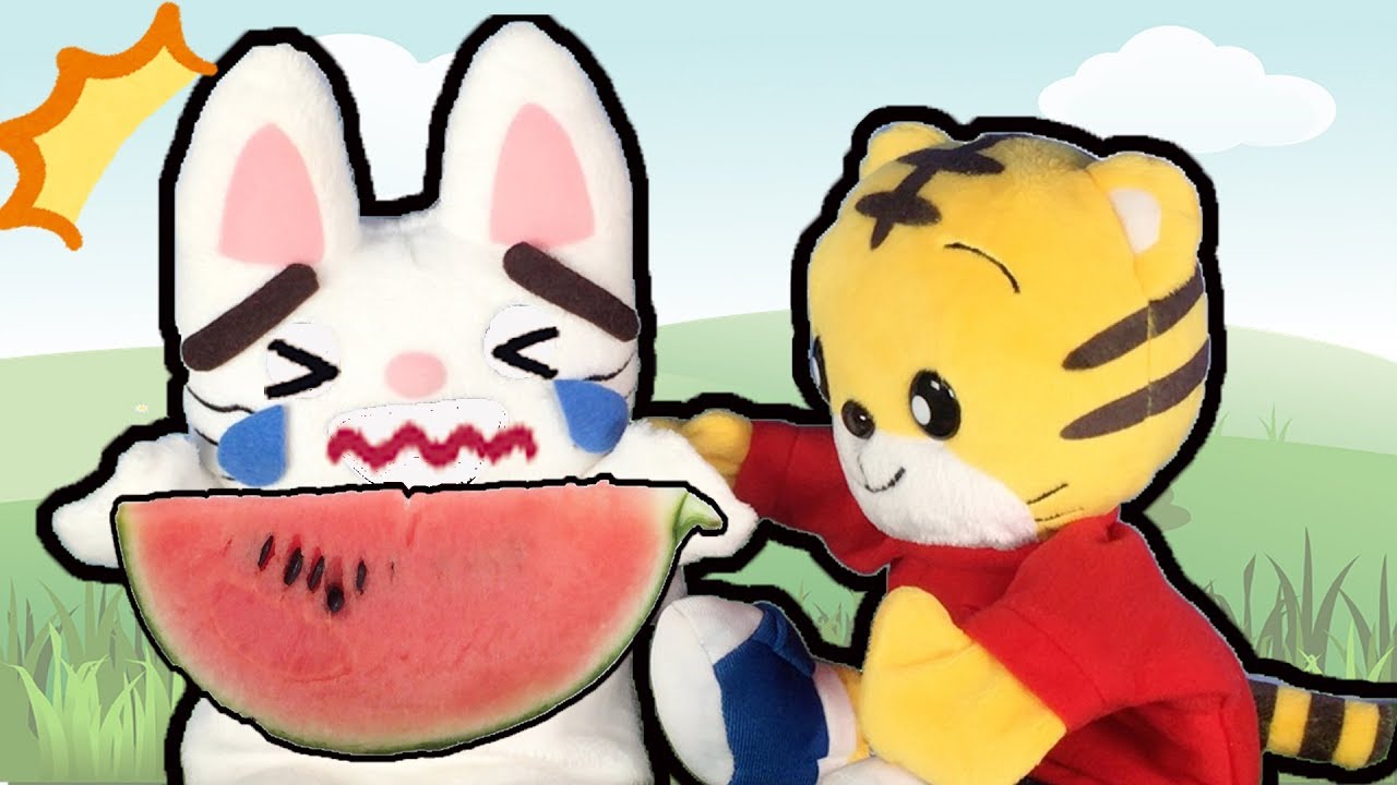 スイカのたねを のんじゃった！★しまじろう ノンタン shimajiro 호피 巧虎