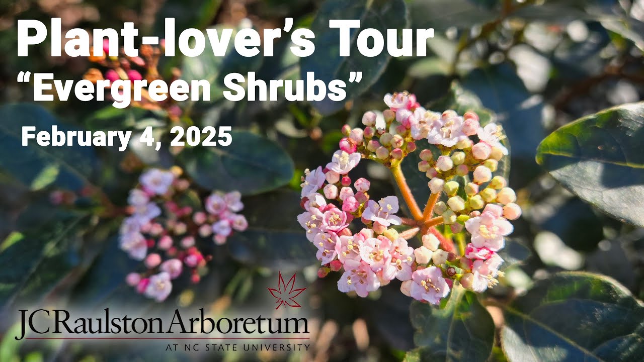 Plant-lover's Tour - 