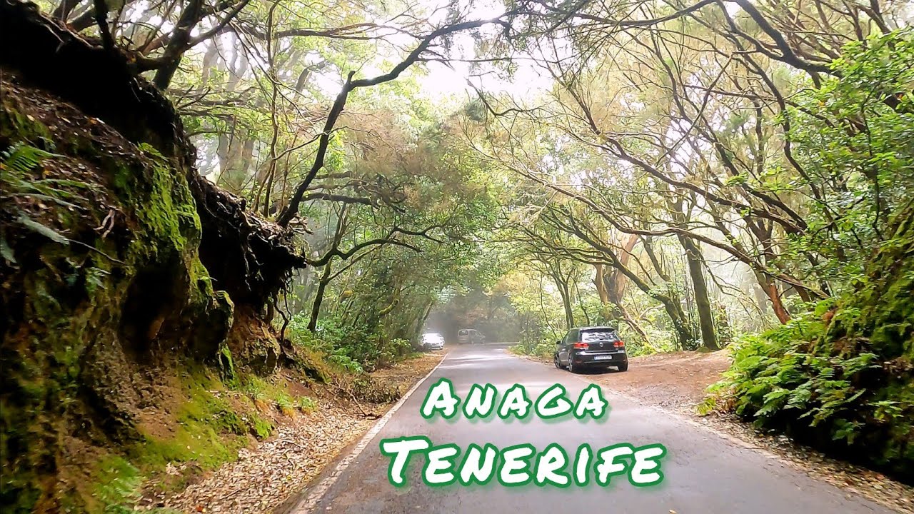 🌍 Tenerife short. Anaga. Las Bre&ntilde;as Beach. Spain. 4K