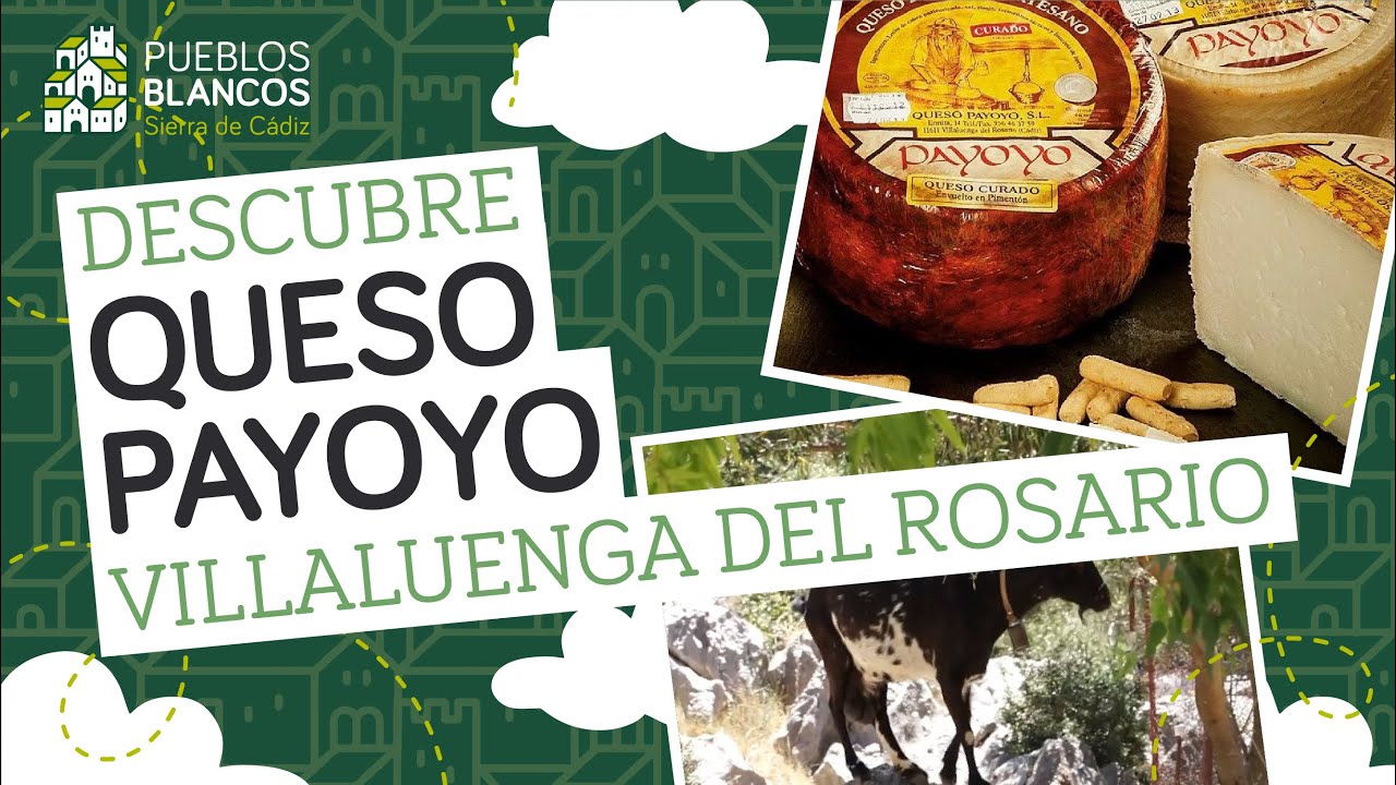 VILLALUENGA: Queso Payoyo | #DescubreLosPueblosBlancos