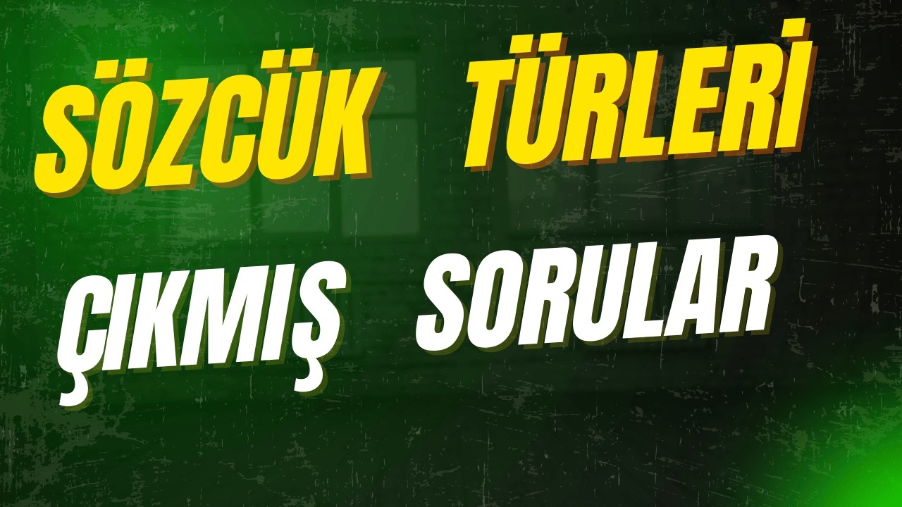 Sözcük Türleri Çıkmış Sorular: 2025 Dahil Tüm Sorular ve Püf Noktalar!