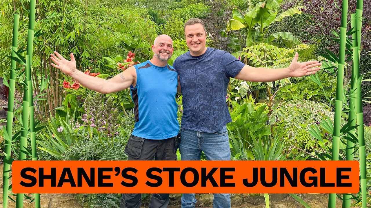 A Jungle Stream Garden Transformation & Growing Hardy Exotics with Shane Bilson