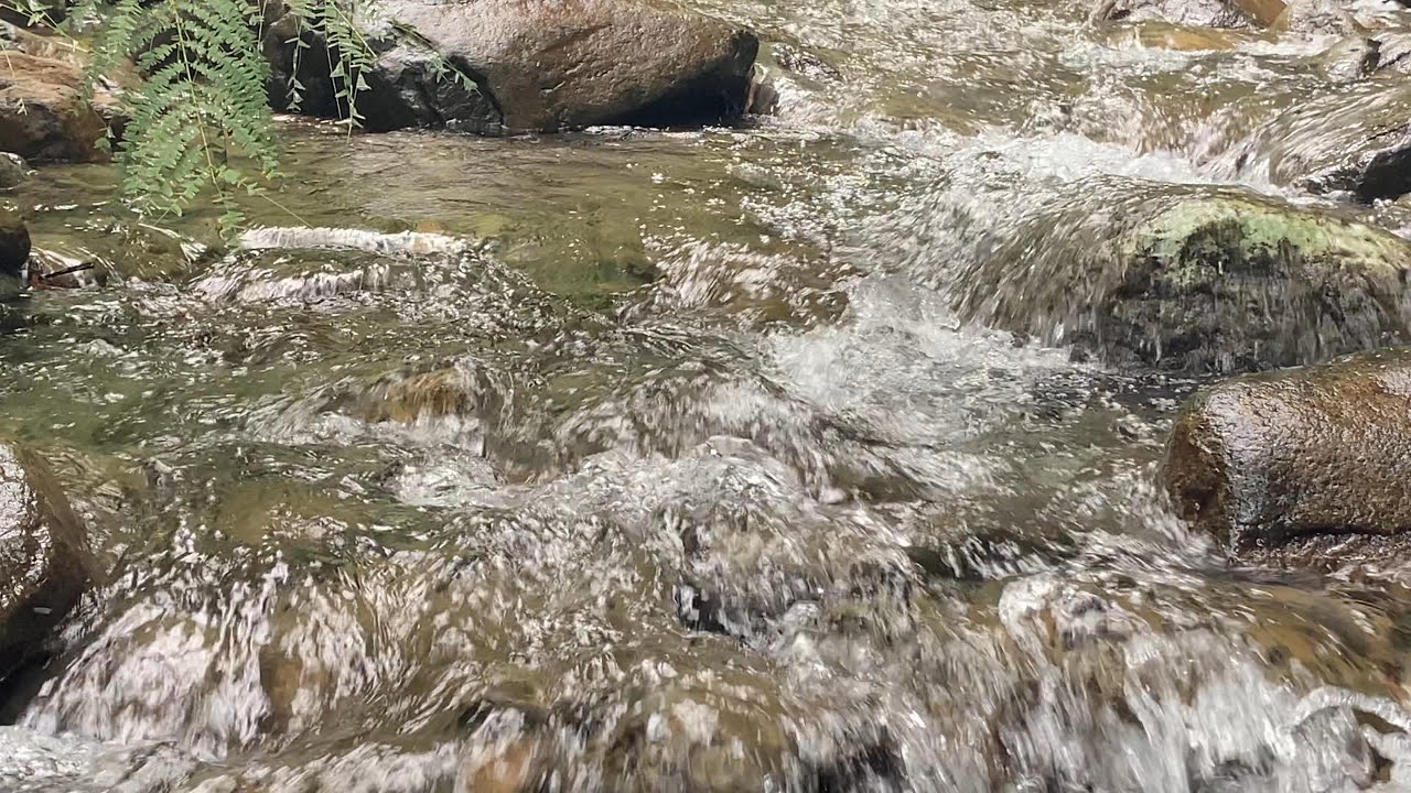 Pure River Flowing Water | No Music, Natural Sleep Sounds | 5 Hours