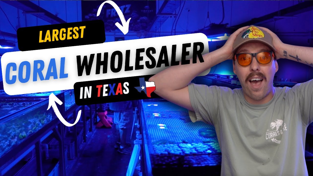 We TOURED the LARGEST CORAL wholesaler in TEXAS