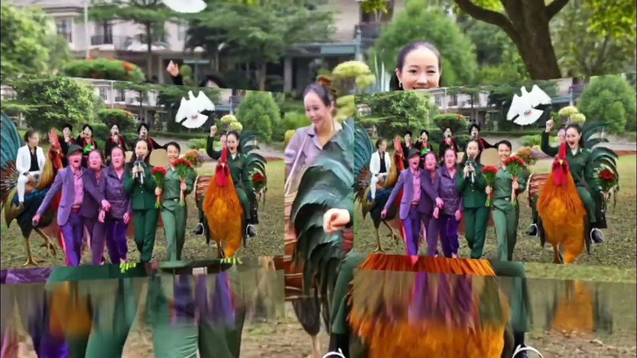 HĐ BÙI TỐNG 