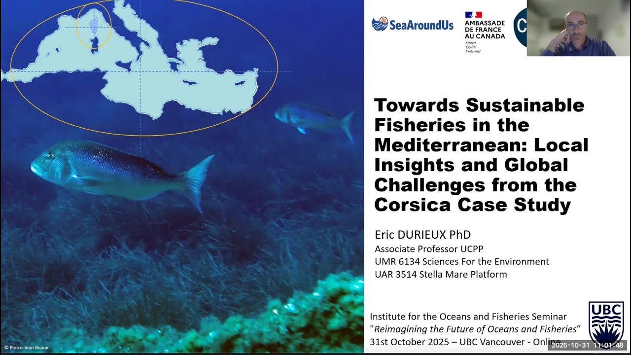 Towards Sustainable Fisheries in the Mediterranean: Local Insights & Global Challenges from Corsica