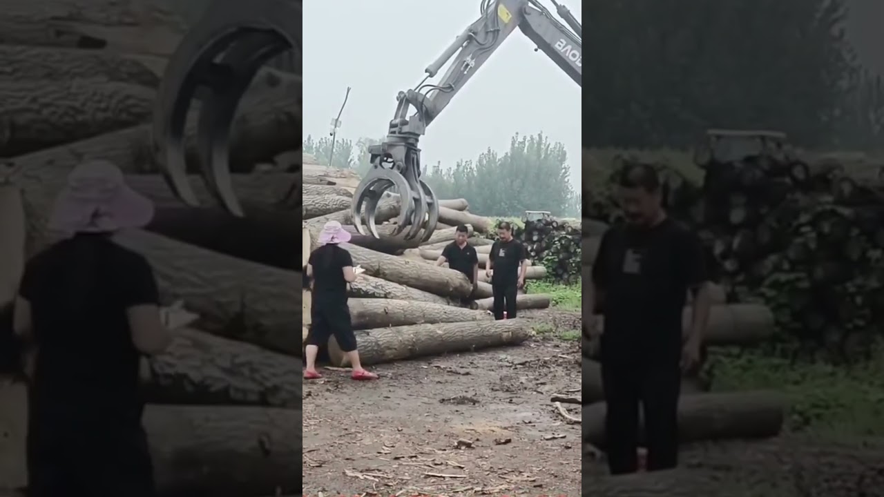 ✅BD wheel excavator with gripper hydraulic grab crane material loader handler made in China.