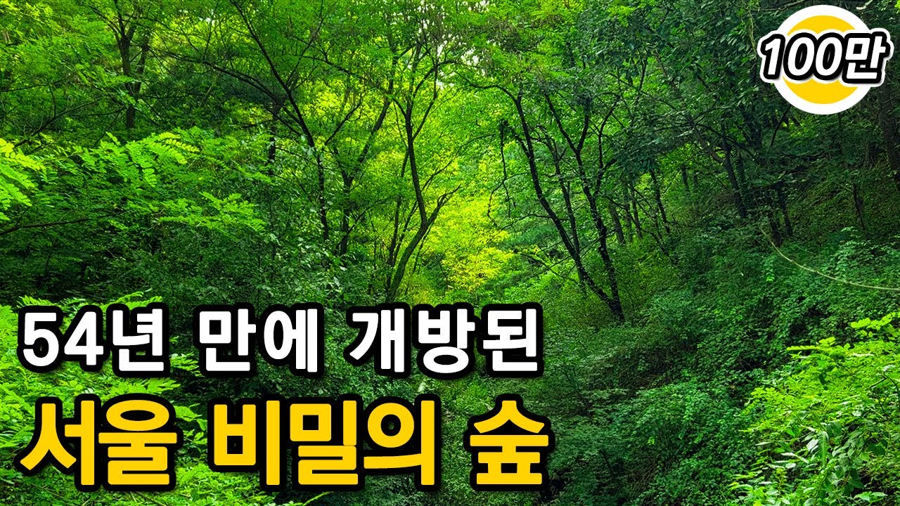 도심을 내려다보면서 걸을 수 있는 세계에서 가장 특별한 둘레길ㅣ대중교통 당일치기 여행ㅣ지하철 여행ㅣ트레킹 코스