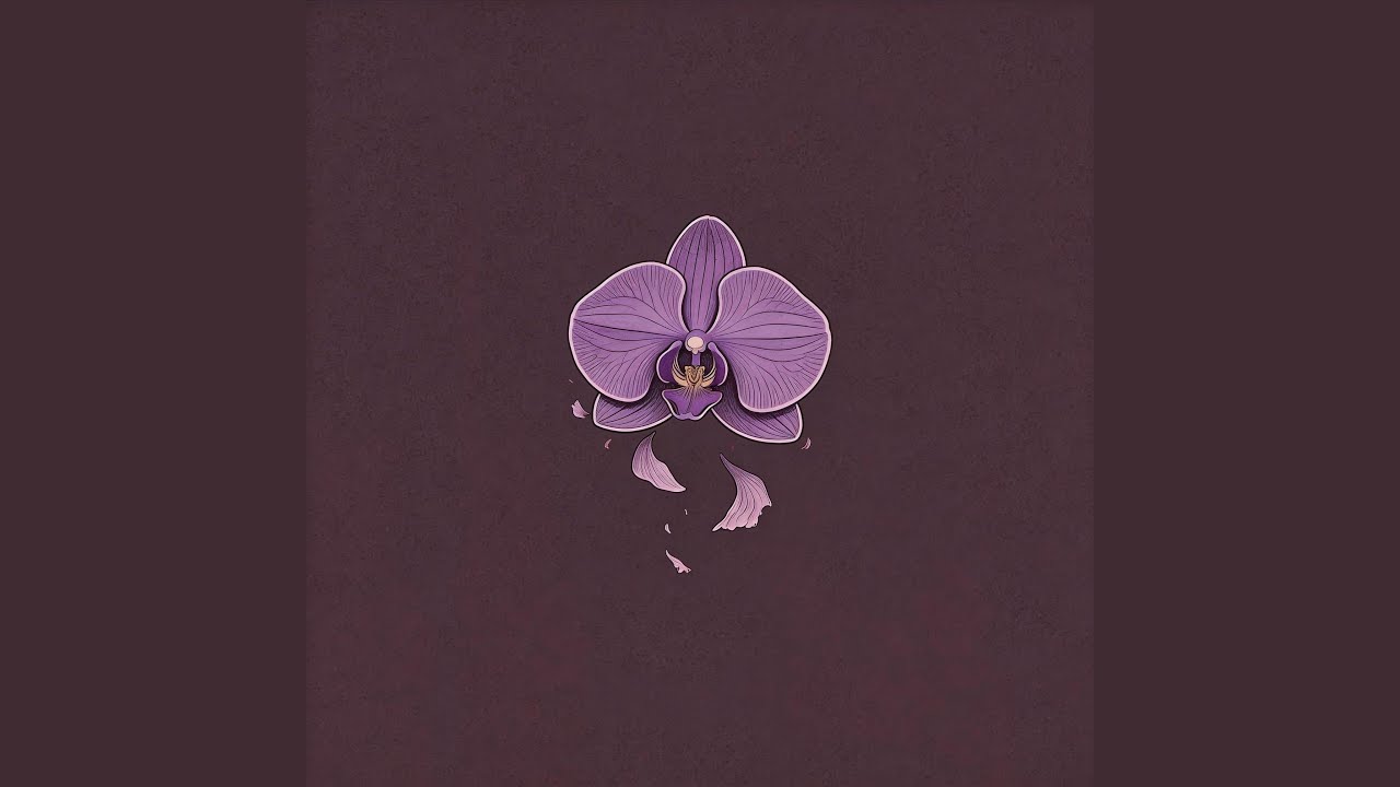 请记住我的好（烟嗓版）