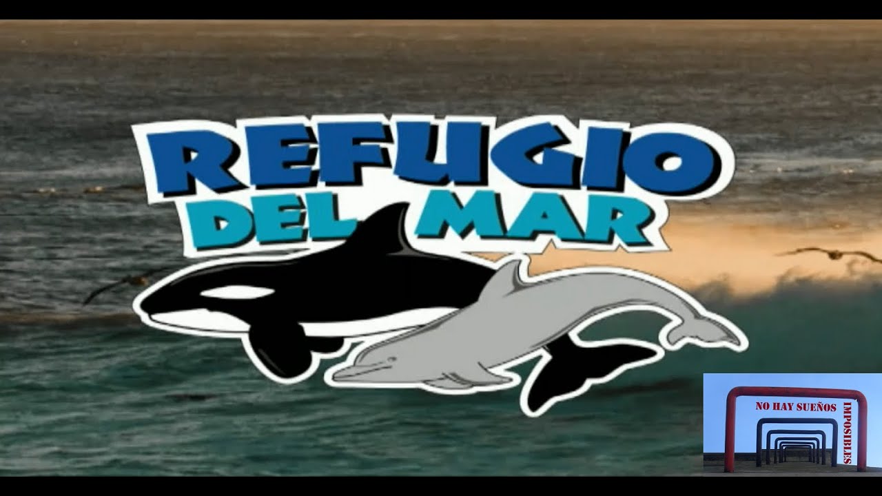 Show Refugio del Mar - Mundo Marino (30_12_2021)