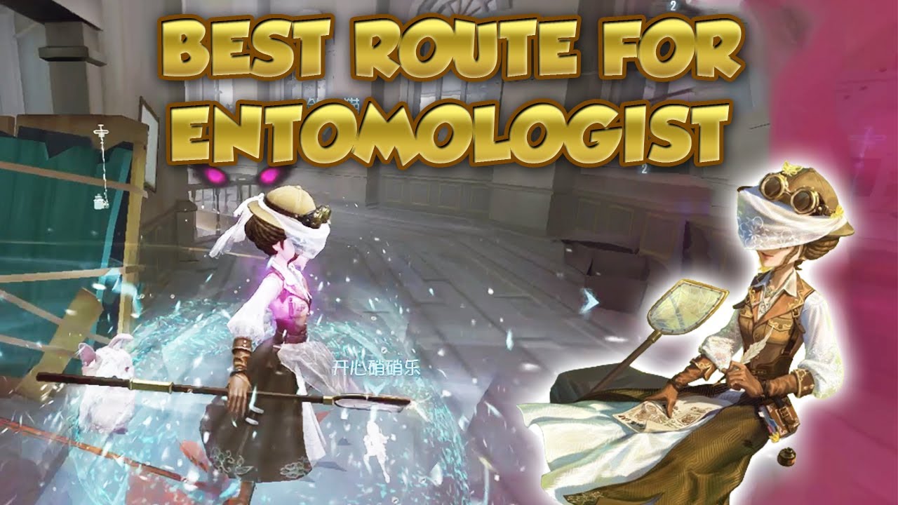 Best Route For Entomologist | Identity V | 第五人格 | 제5인 | Entomologist
