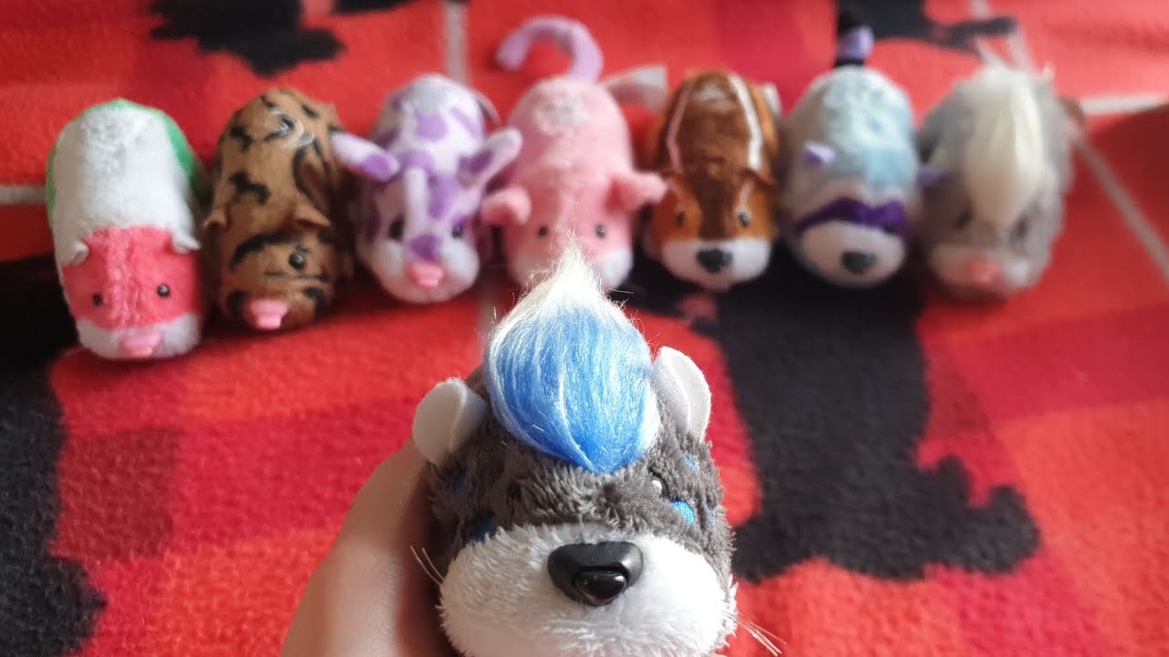 Zhu Zhu Pet Review - Luigi, Cappuccino, Forest, Heidi, Scout, Nutters and Kingston