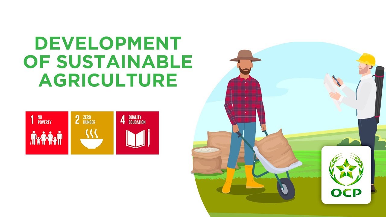 #OCP_SDGs: Development of sustainable agriculture