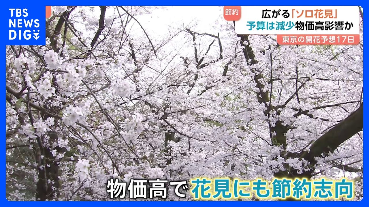 お花見にも「節約志向」定着　予算は1000円減、一方で「ソロ花見」は2.2倍に｜TBS&nbsp;NEWS&nbsp;DIG