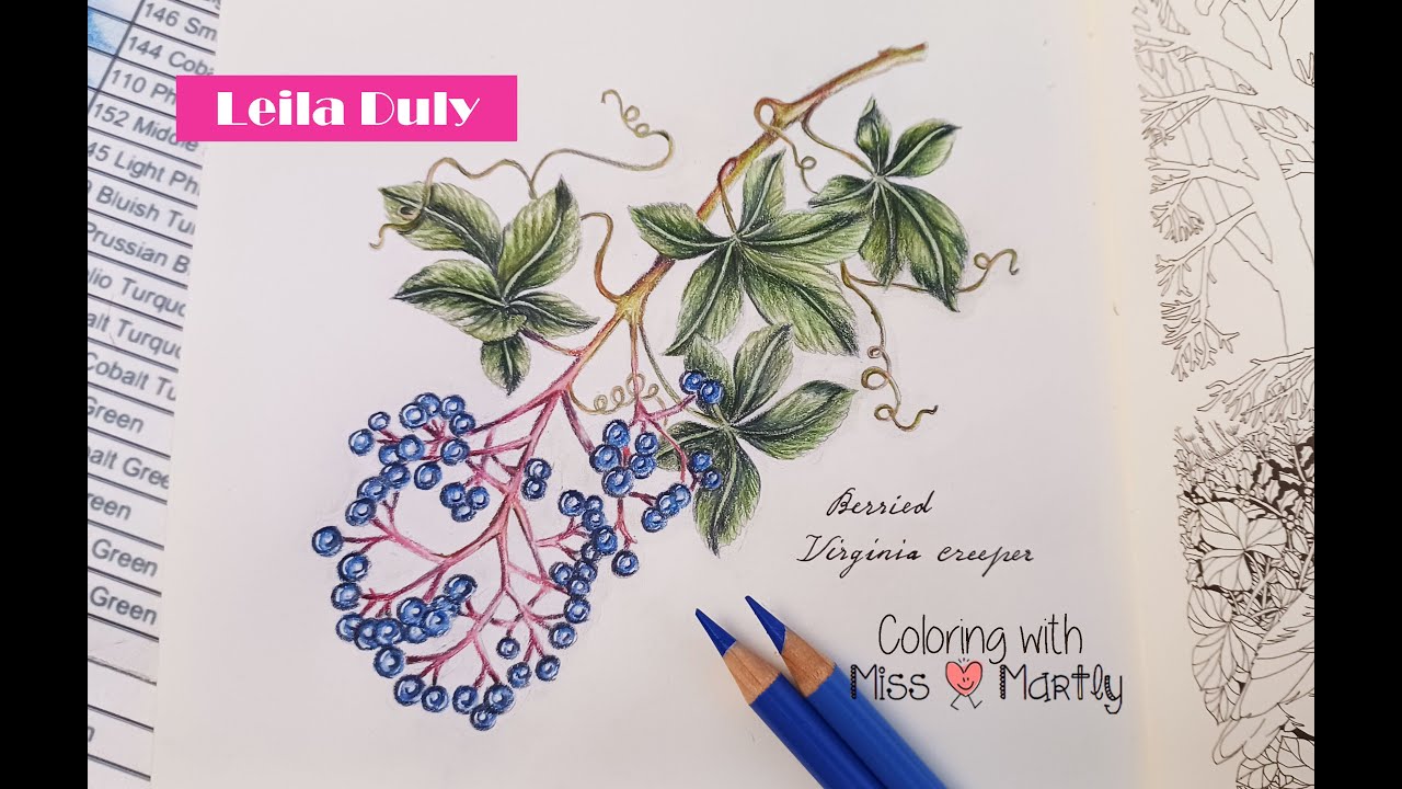 Coloring tutorial | The flower year by Leila Duly | Virginia Creeper with Polychromos