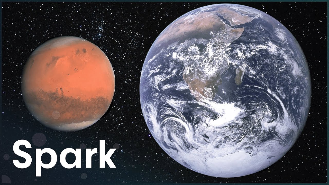 Did Life On Earth Come From Mars?
