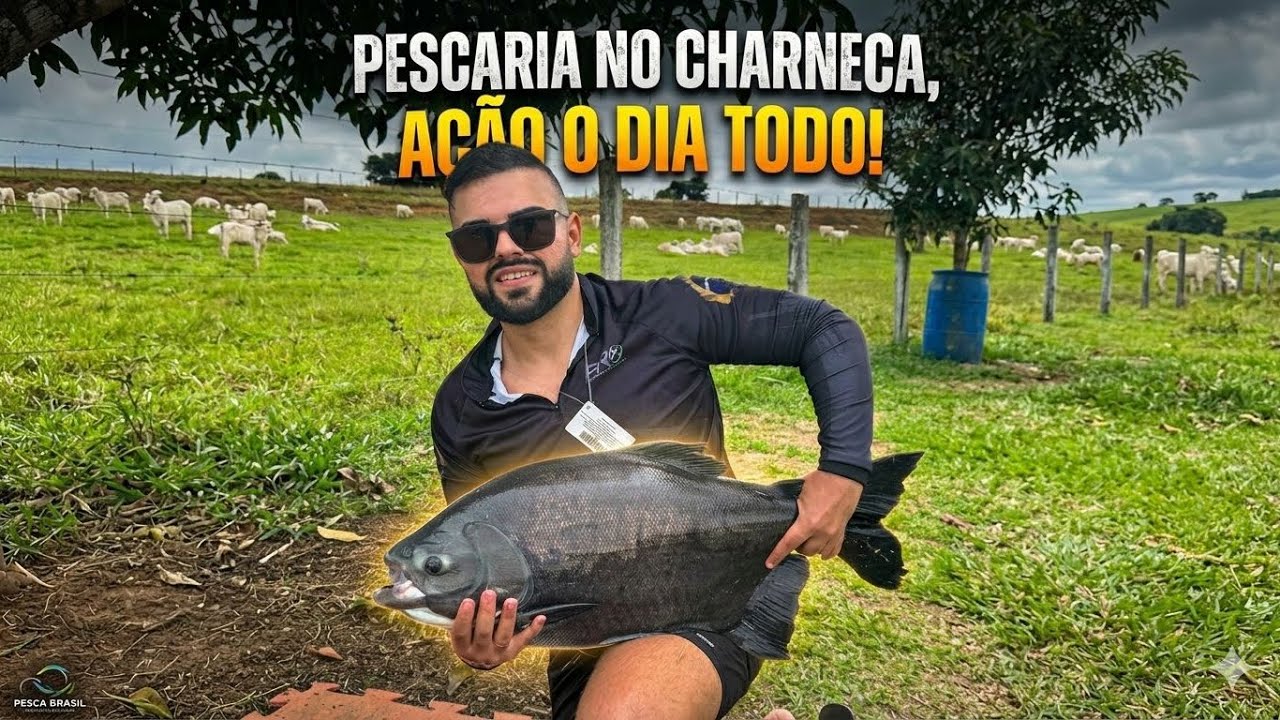Pescaria no Charneca: Usei essa isca inusitada e o resultado surpreendeu