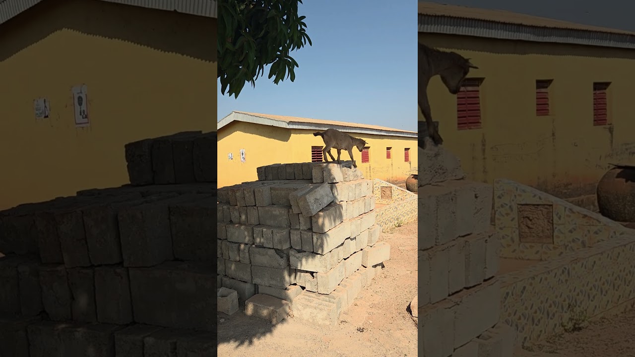 top kid www.topbananaantiques.com