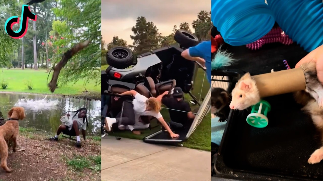 Random videos I watch at 2 a.m. #8