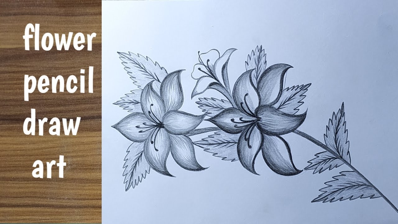 How to flower draw easy / How to drawing flower pencil art / How to easily flower draw