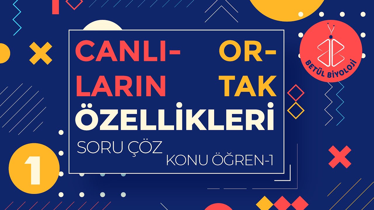 Canlıların Ortak Özellikleri Soru Çözümü | Soru Çöz Konu Öğren 1 | TYT Biyoloji