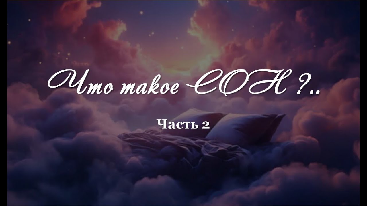 Что такое СОН?.. Часть 2. Запись вебинара от 21.01.26