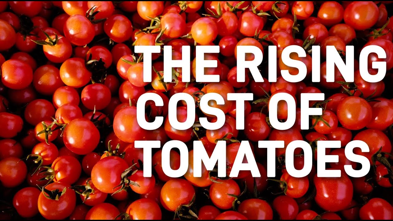 Tomatoes Beat Onions In The Price-Surge Race