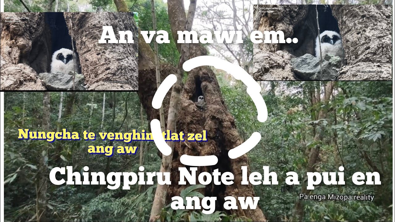 E khai,Chingpiru Note leh a pui thlir ang..an va mawi em..Nungcha te humhalh zel ang aw.