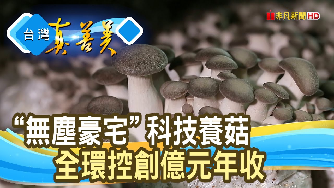 “豪宅型菇舍”創億元營收｜魔菇部落休閒農場｜【台灣真善美】2023.12.31