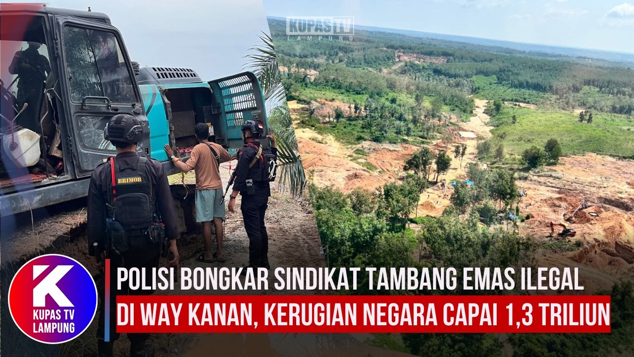 Polisi Bongkar Sindikat Tambang Emas Ilegal di Way Kanan Kerugian Negara Capai 1,3 Triliun