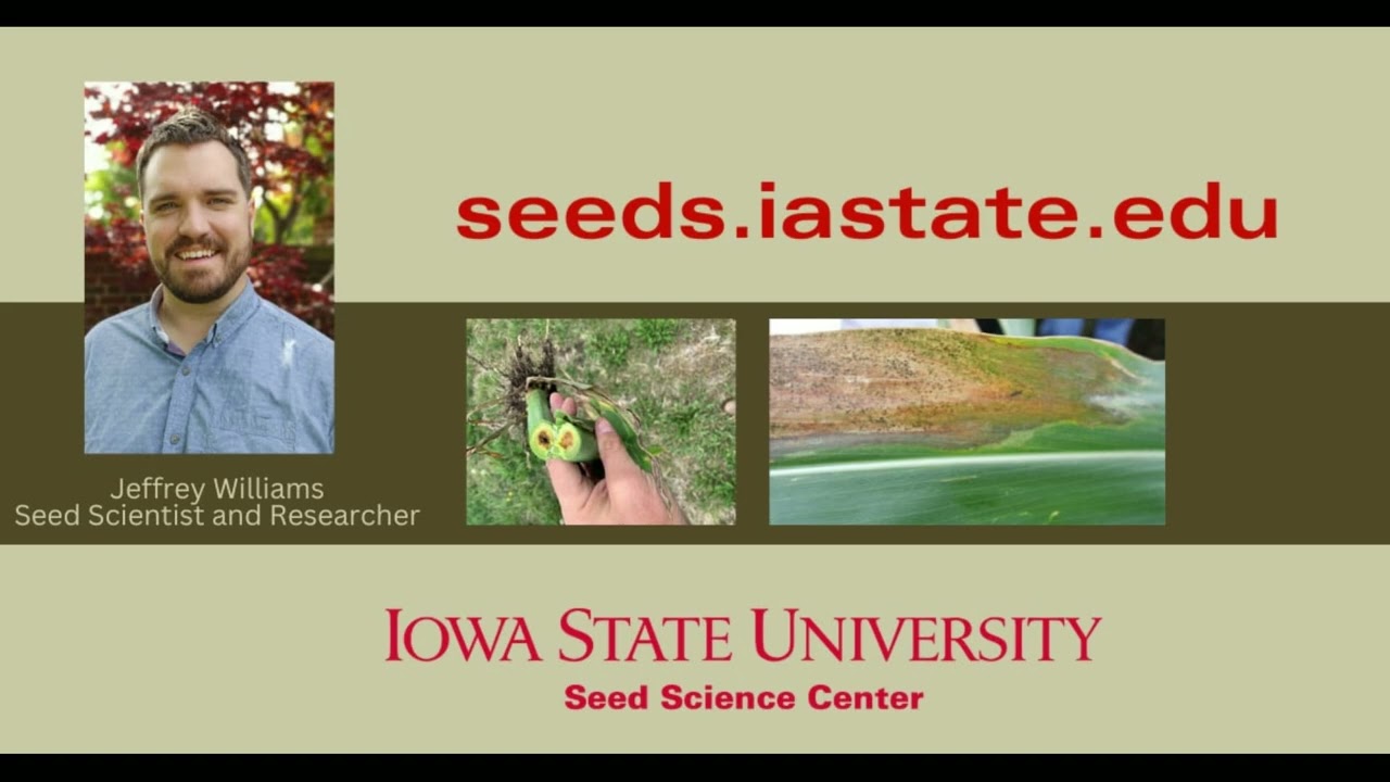 GermiNation S1E5  “From days to a day:  A testing breakthrough in the battle against Goss’s Wilt.”