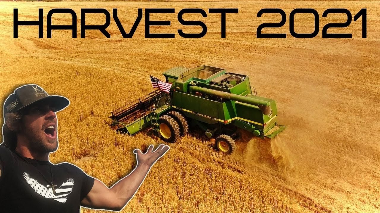 WHEAT HARVEST 2021 Video | John Deere 9500 Combine Eats Organic Wheat | DRONE FOOTAGE