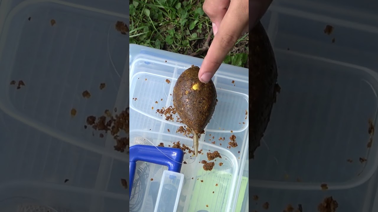 Method Feeder Angeln am See #angeln