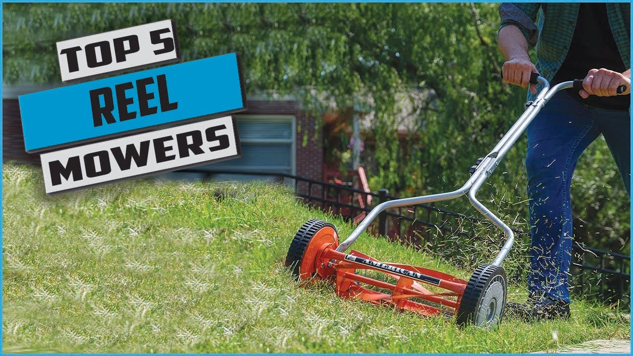 Best Reel Mowers of 2024